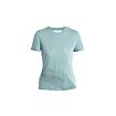 Icebreaker Merino Core SS Tee  Plume Wmns